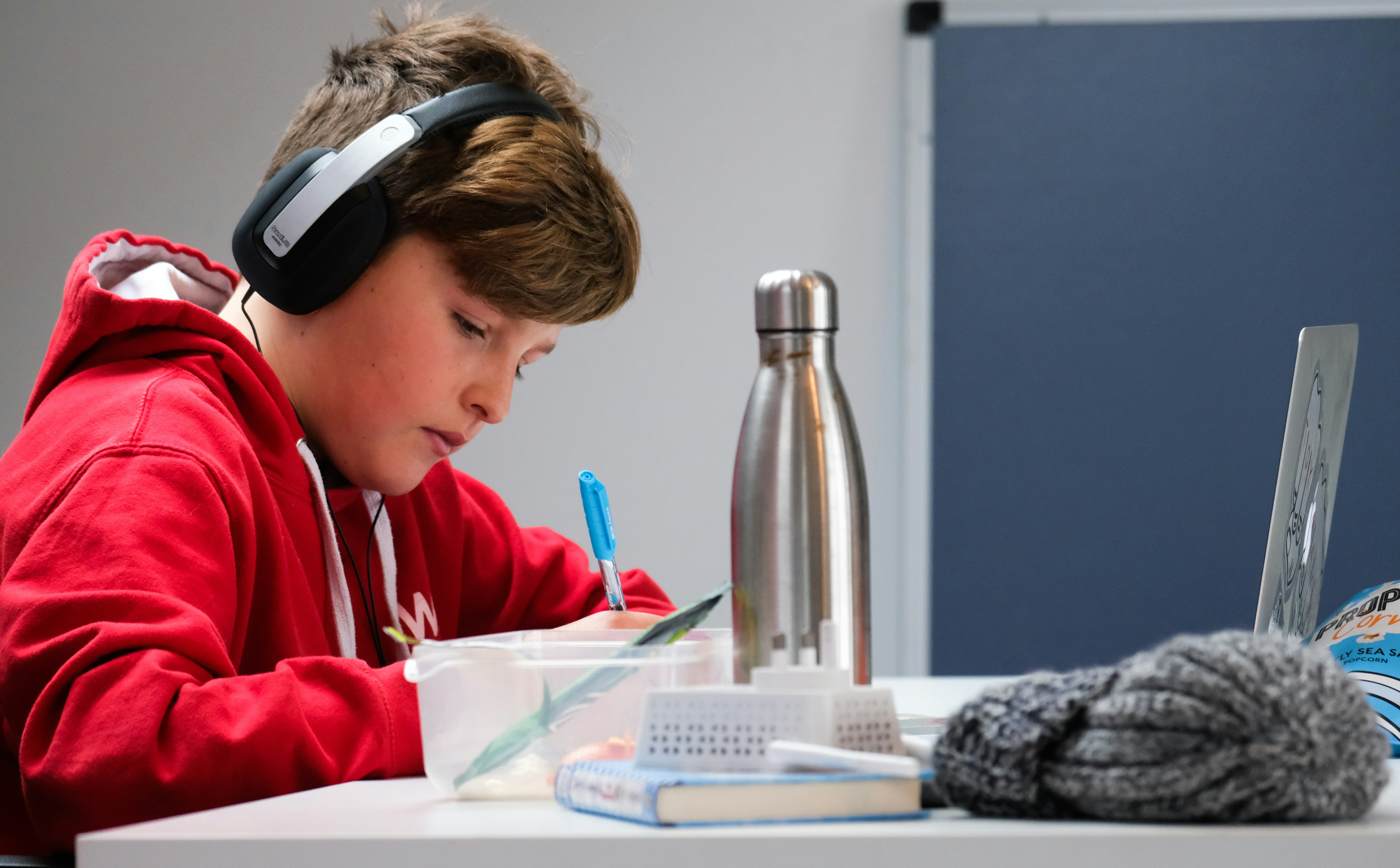 Bright Spark Tutoring — photo 4